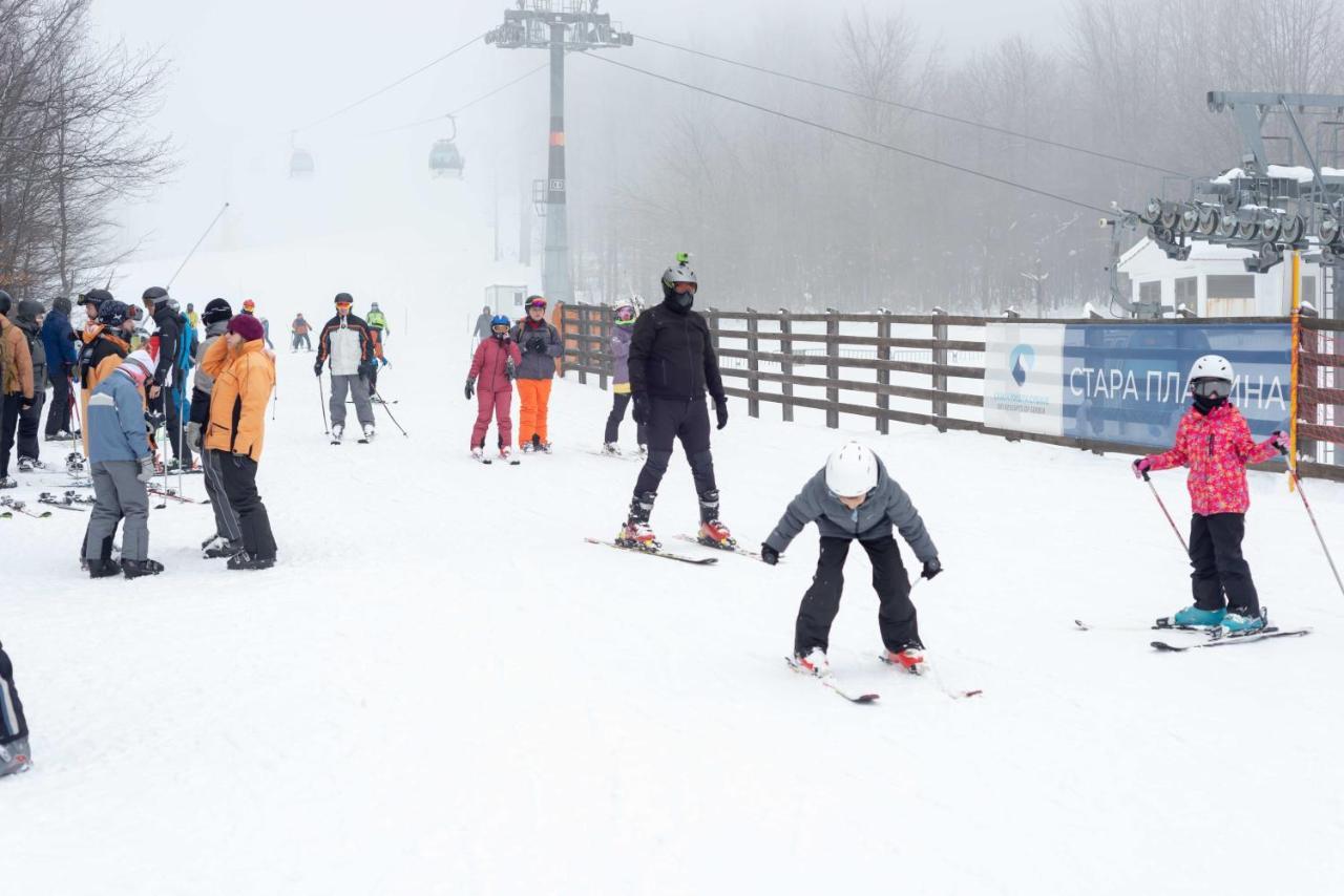 Lodge Gora Premium - Stara Planina